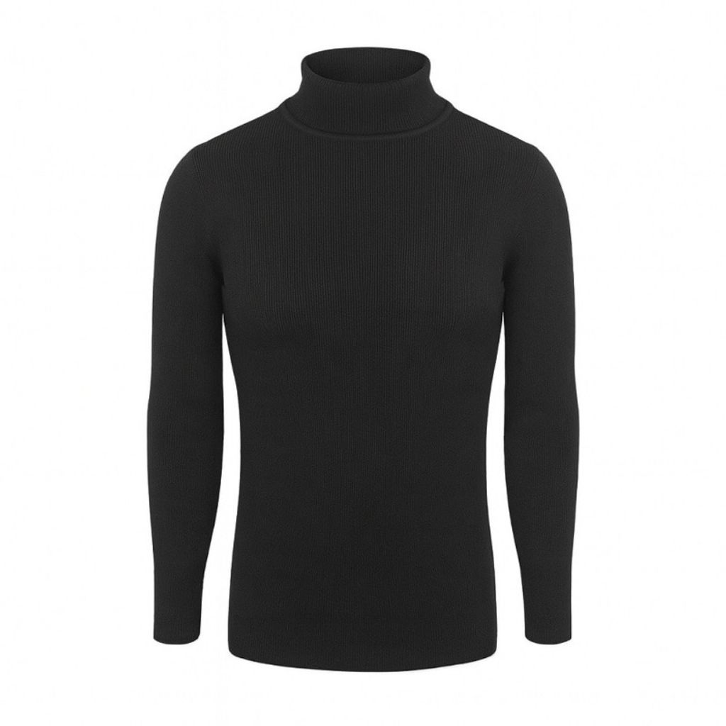 خرید انلاین پلیور بافت یقه اسکی مردانه مدل Ersan ( در 2 رنگبندی )