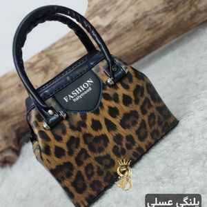 قیمت ارزان کیف مجلسی شیک ترند سال مناسب خوش استایل ها 22 در 18 سانت