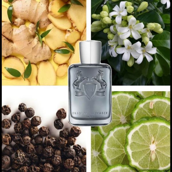 تستر عطر ادکلن پارفومز دی مارلی کاستلی | Parfums de Marly Castley