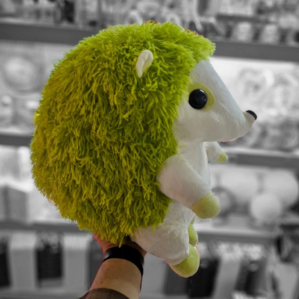 قیمت عروسک جوجه تیغی