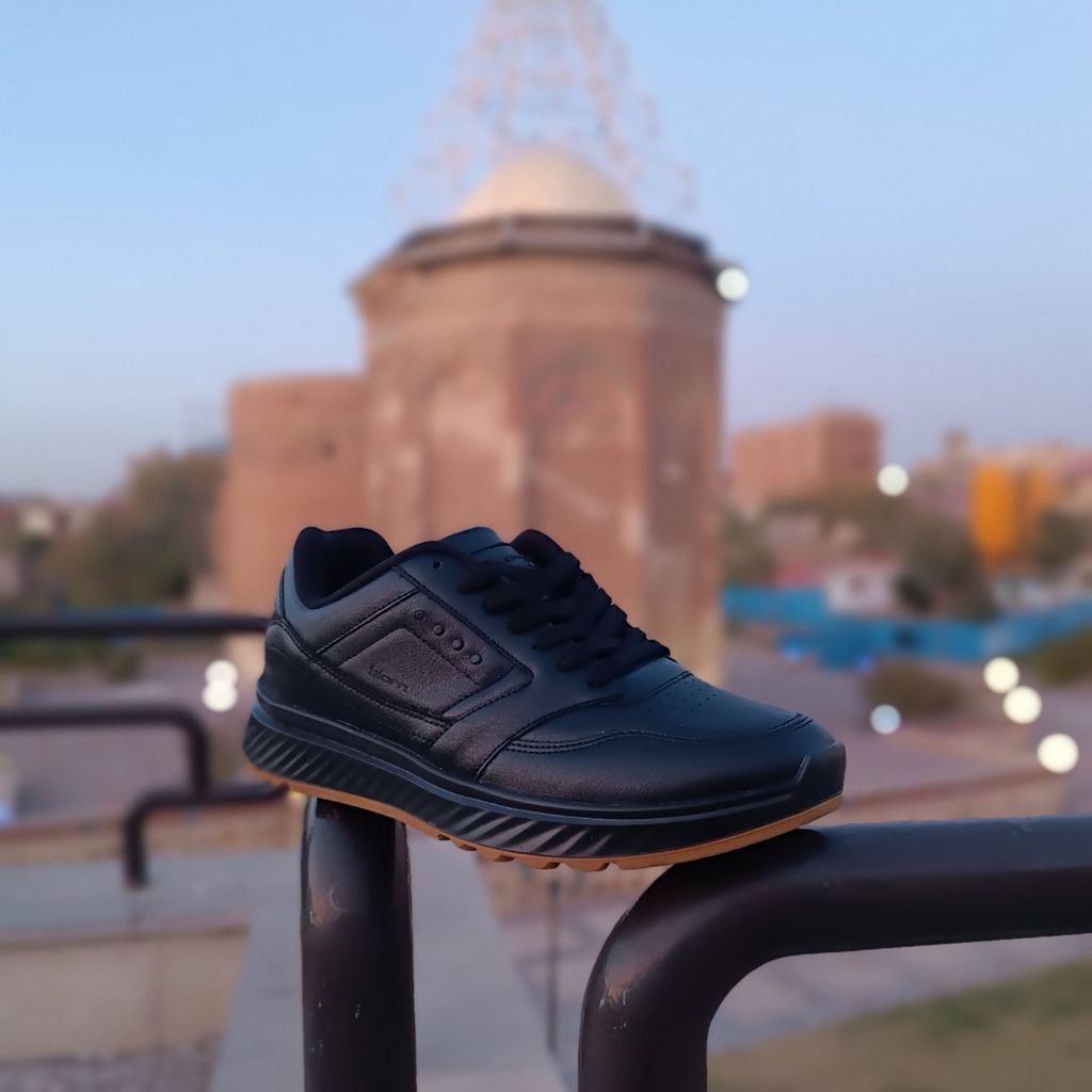 خرید اینترنتی کتونی مردانه اکو بیوم مشکی کیفیت بالا