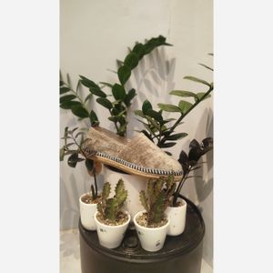 فروش اینترنتی گیوه مردانه سبز دوردوخت برای تابستان وپیاده روی/فروش اقساطی