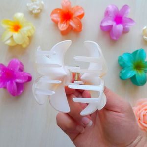 قیمت ارزان گلسر یا کلیپس پلومریا kl4i