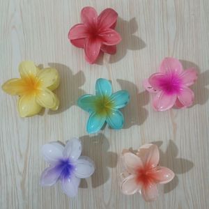 گلسر یا کلیپس پلومریا kl4i