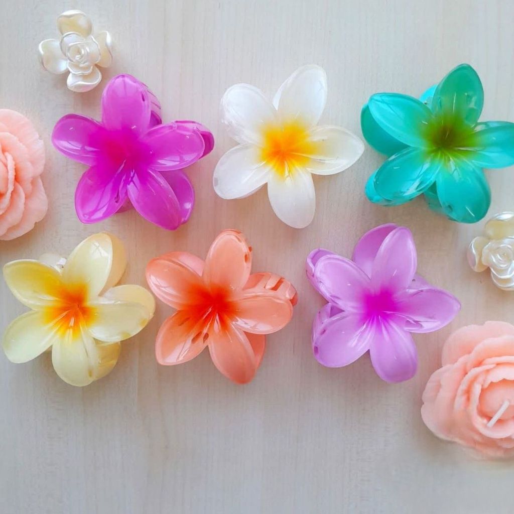 قیمت ارزان گلسر یا کلیپس پلومریا kl4i