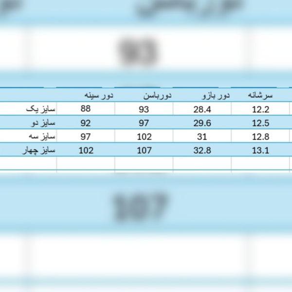 پالتو زنانه شانل مدل نیلا