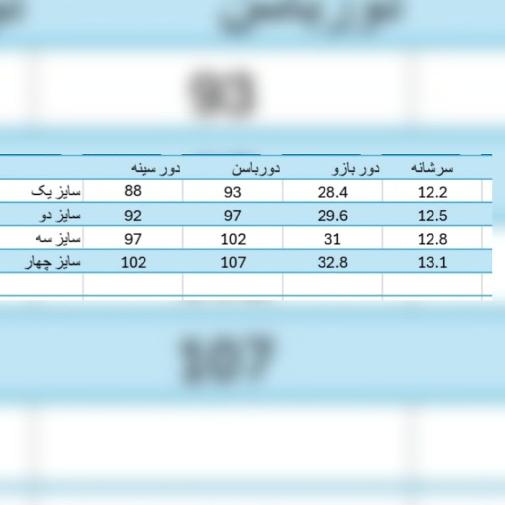 قیمت شومیز مجلسی زنانه مدل نیلوفر