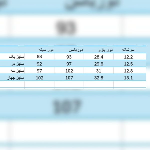 شومیز مجلسی زنانه مدل نیلوفر