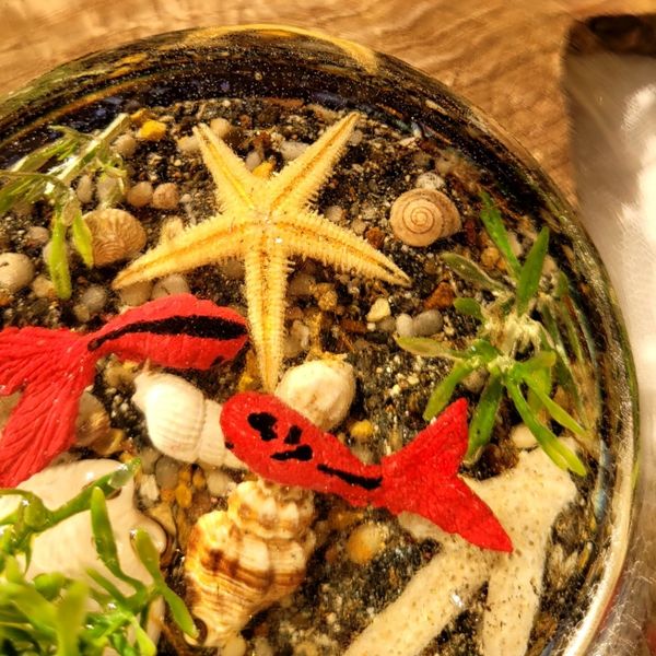 حوضچه ماهی رزینی