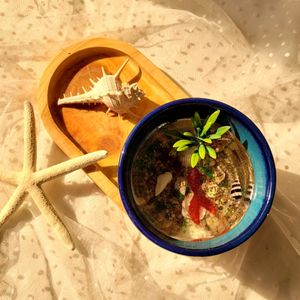 حوضچه سفالی رزینی