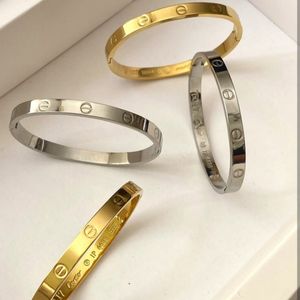 خرید اینترنتی بنگل النگویی استیل کارتیه آبکاری نقره ای و طلایی