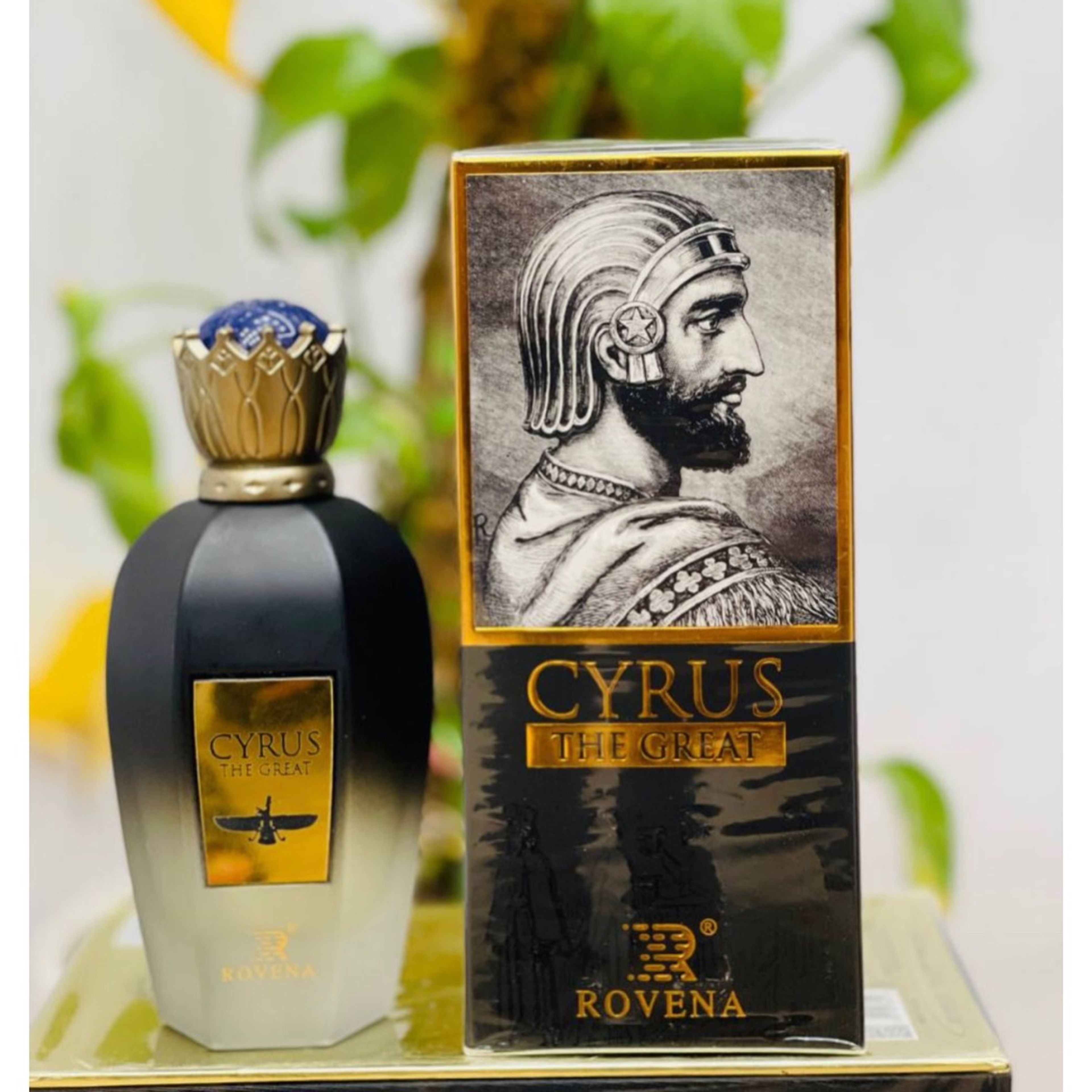 خرید انلاین عطر ادکلن کوروش روونا اصلی لیبل دار مردانه Rovena Cyrus
