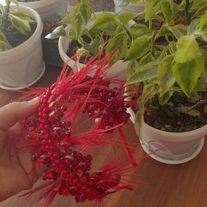 قیمت تاج یلدایی قرمز پر دار