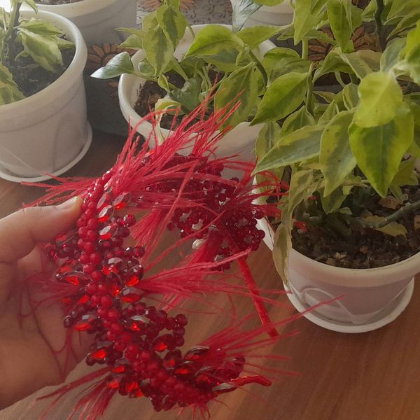 تاج یلدایی قرمز پر دار