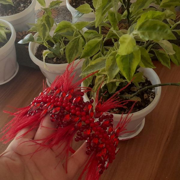 تاج یلدایی قرمز پر دار