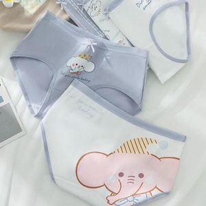 قیمت ارزان شورت عروسکی زنانه طرح فیل بسته 5 عددی