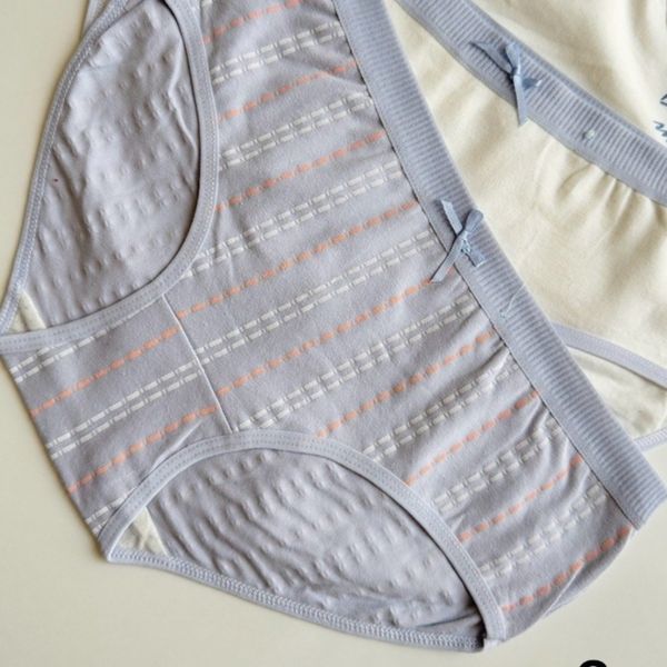 شورت عروسکی زنانه طرح فیل بسته 5 عددی