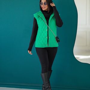 مشخصات پافر کوتاه آمبردی