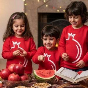 قیمت بلوز طرح انار داخل دورس پنبه