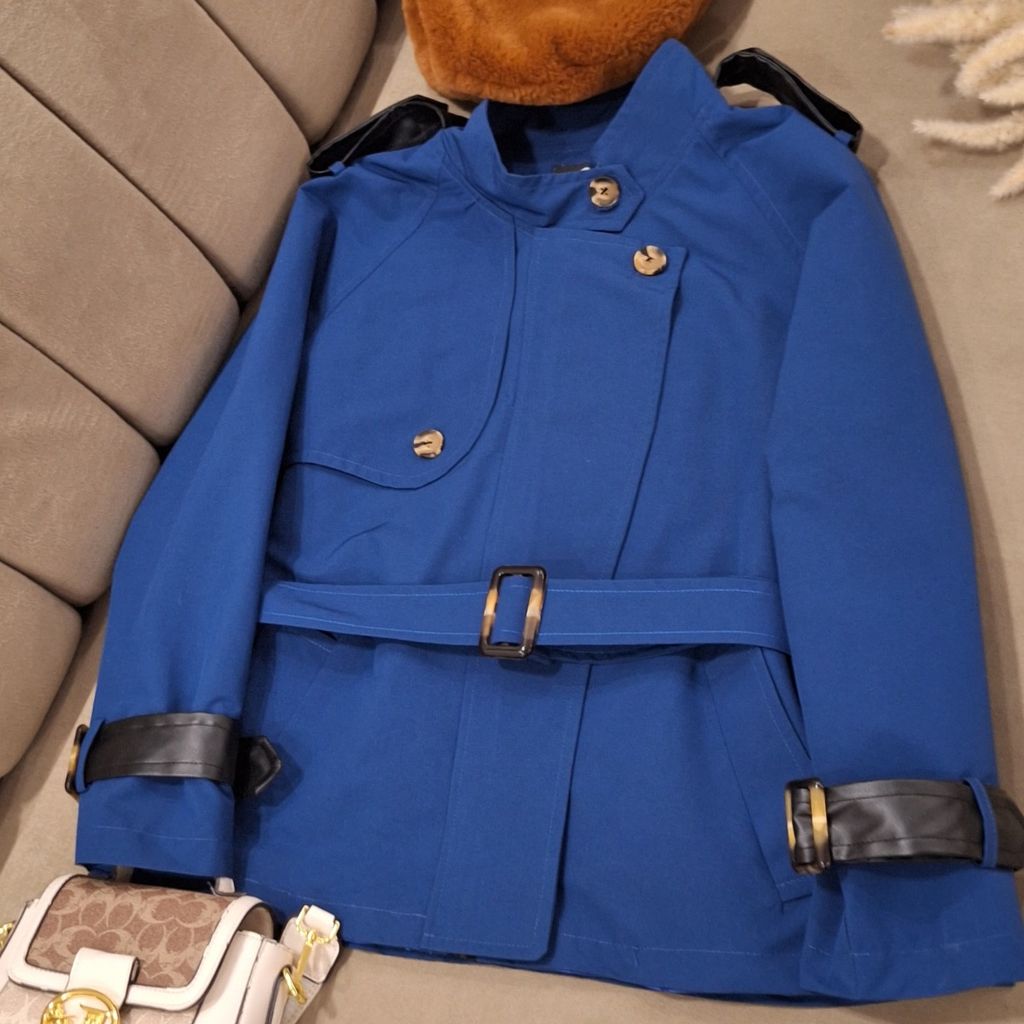 فروش اینترنتی بارونی آستردار الین