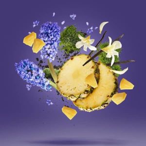 خرید انلاین تستر عطر ادکلن زرجوف پرپل اکسنتو 2025 | Xerjoff Purple Accento 2025