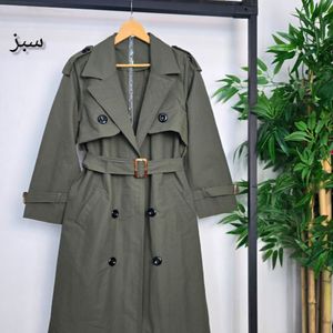 بارونی رونیکا