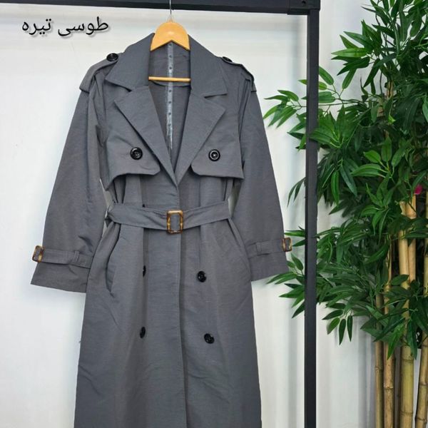 بارونی رونیکا