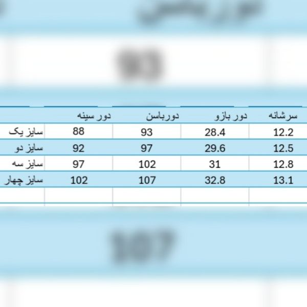 ست گیپور شلوار و شومیز مجلسی زنانه (36_44)