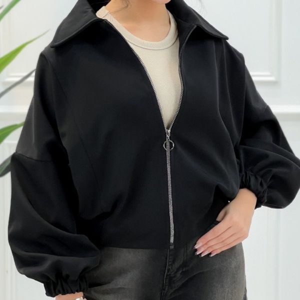 بامبر هانیه پارسی