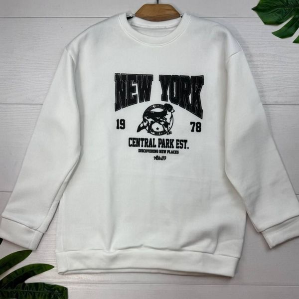 دورس اسپرت نیویورک