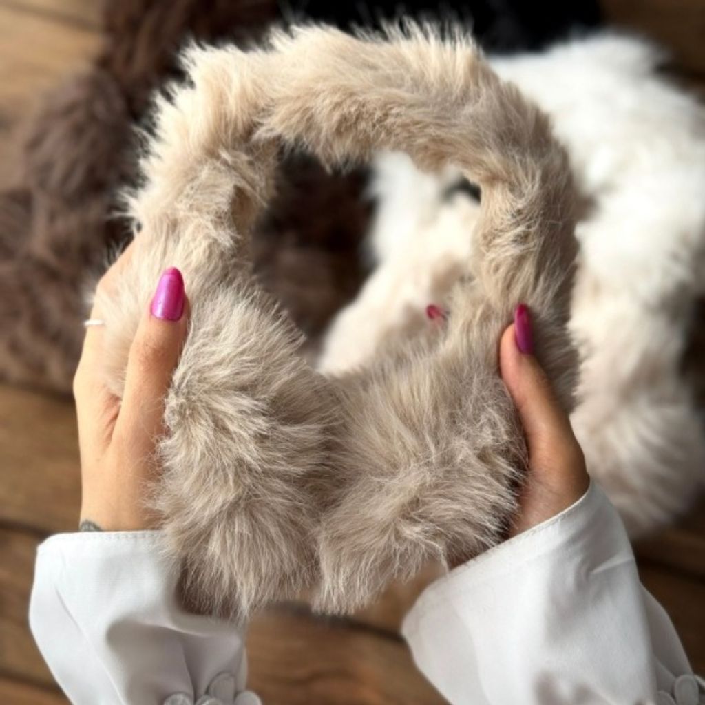 قیمت گوش گیر وارداتی پارسی