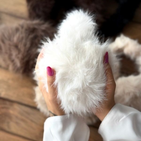 گوش گیر وارداتی پارسی