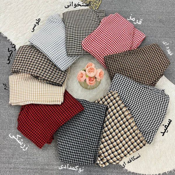 پالتو سولینا زیبا