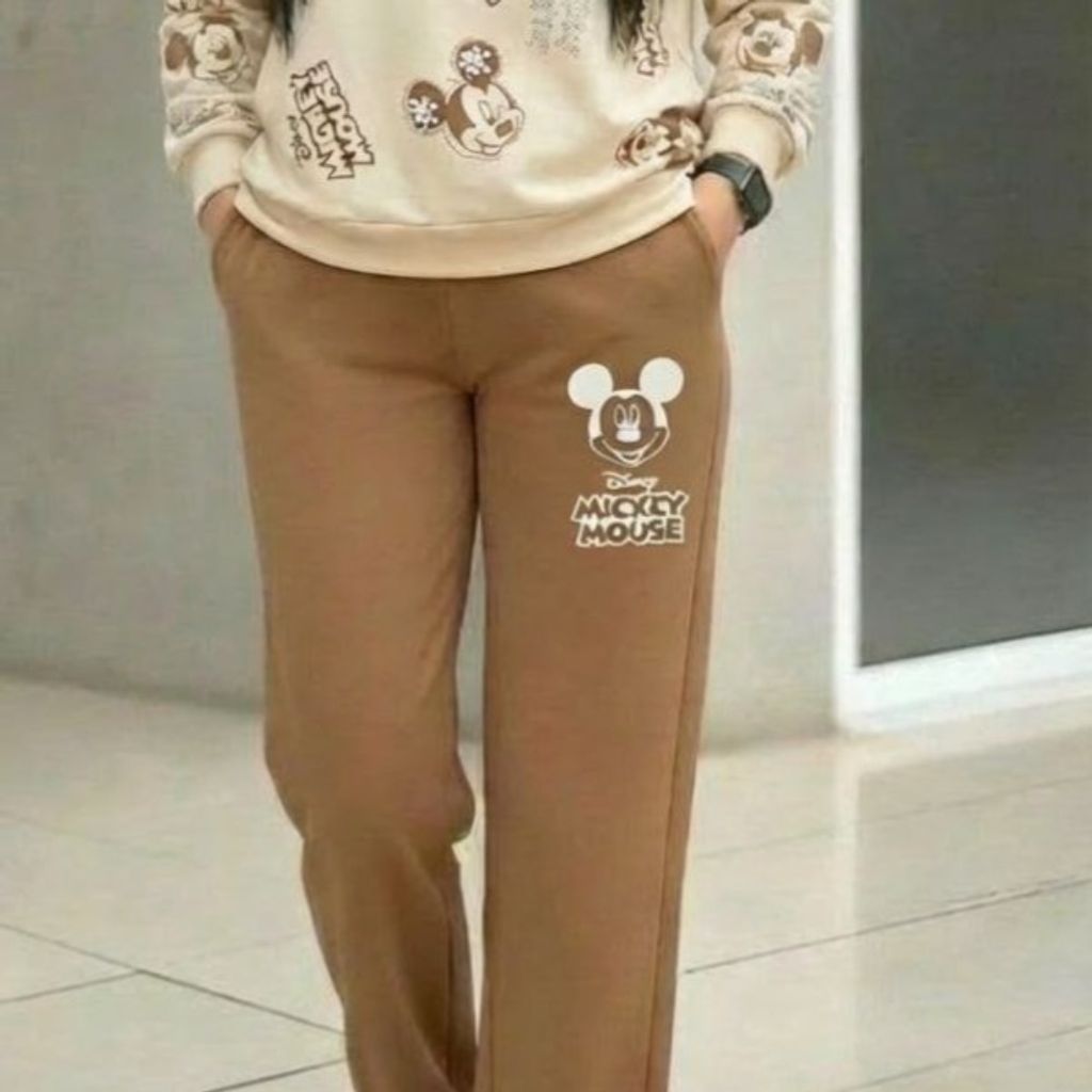 قیمت ارزان ست میکی موس