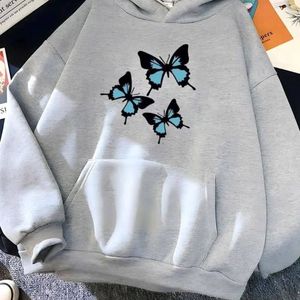 هودی سه پروانه