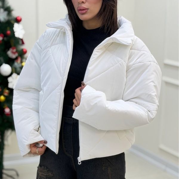 کاپشن سیلیکونی ژینا ستلند