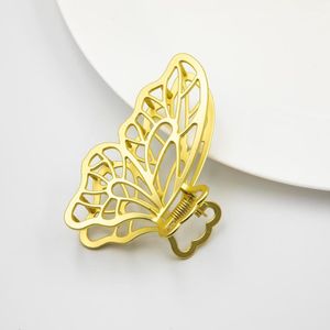 خرید اینترنتی قیمت کلیپس فلزی بال پروانه