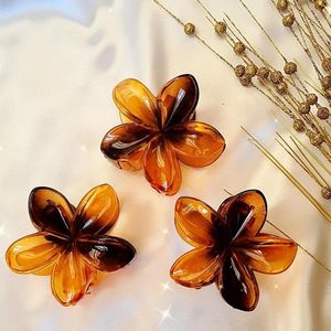 کلیپس بابونه قهوه ای باکیفیت عالی