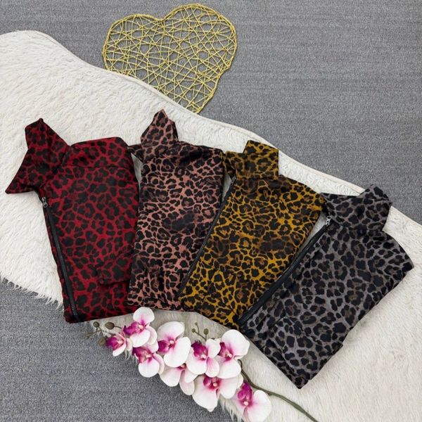 بامبر پلنگی شایسته