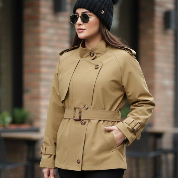 بارونی آستردار مزونی مدل الین