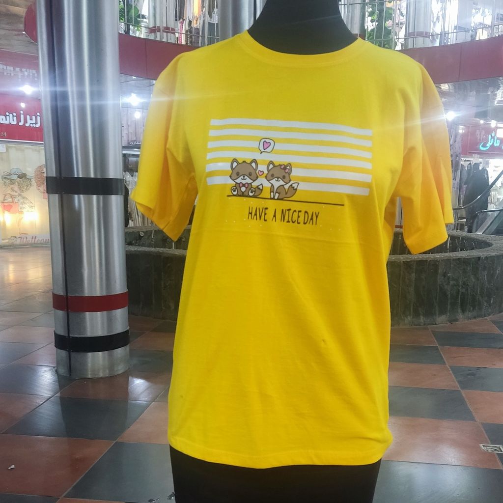 قیمت تیشرت زنانه نخی کد 3001