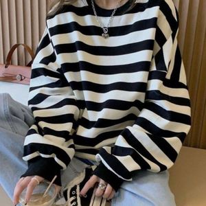 مشخصات مدل نسترن رام