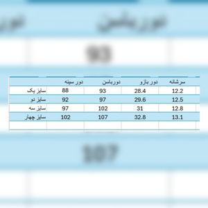 خرید آنلاین شومیز و شلوار زنانه مدل بهار سایز بندی (36_44)