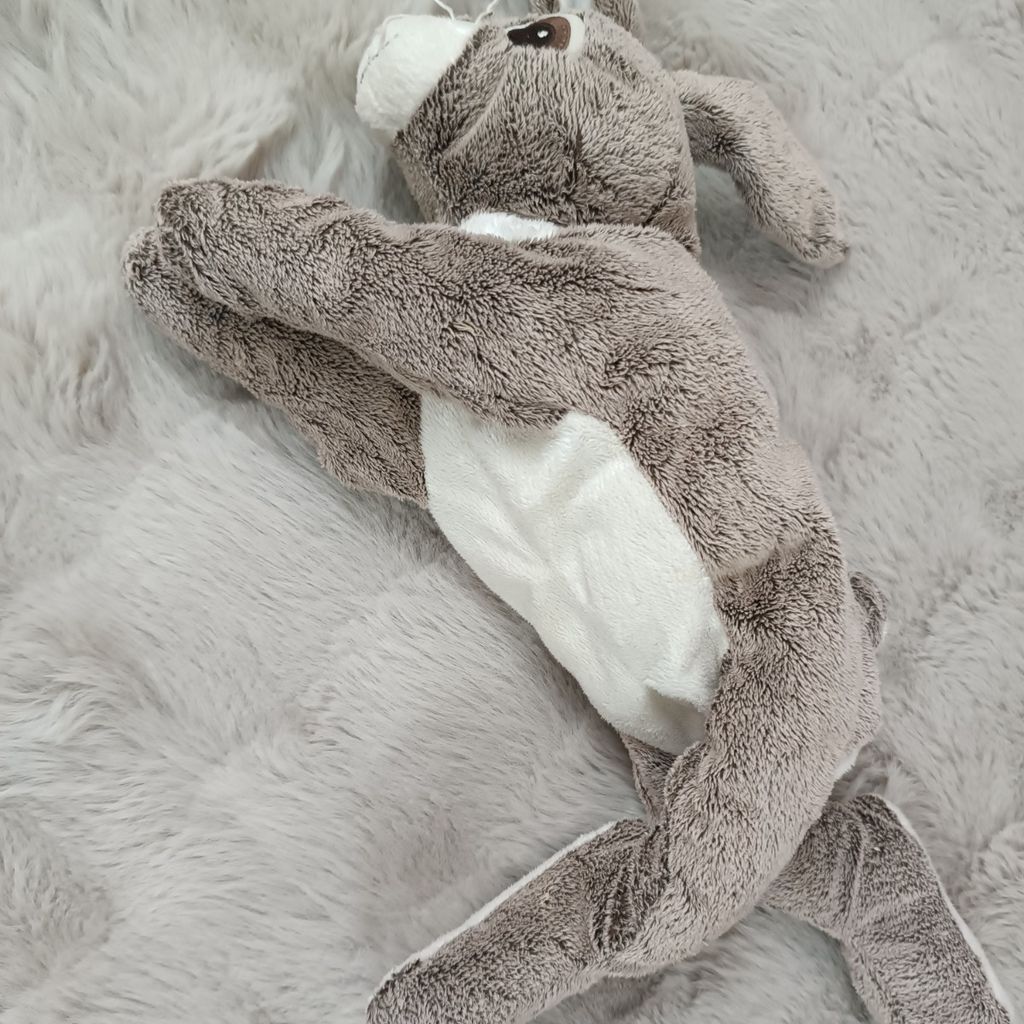 خرید اینترنتی عروسک خرگوش خوابیده وارداتی