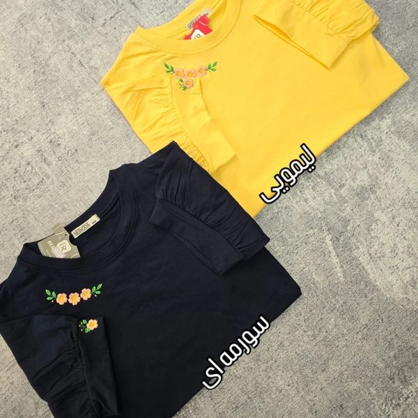 تیشرت قواره دار گلدوزی شده زنانه