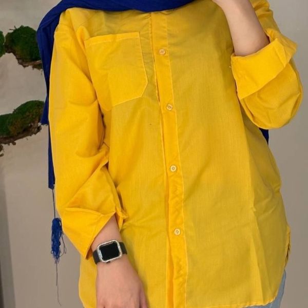 شومیز بیسیک داکرون