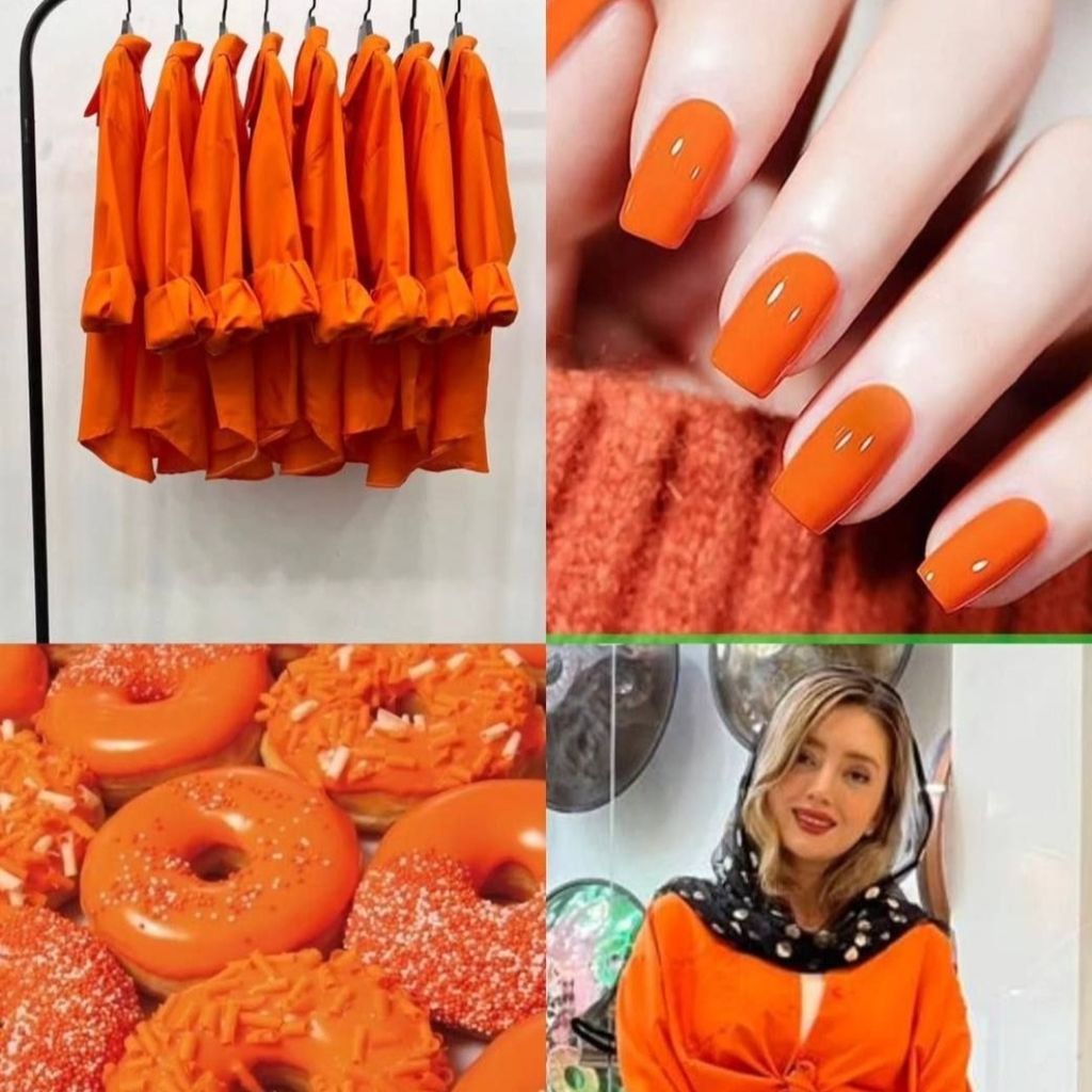 قیمت ارزان شومیز بیسیک داکرون