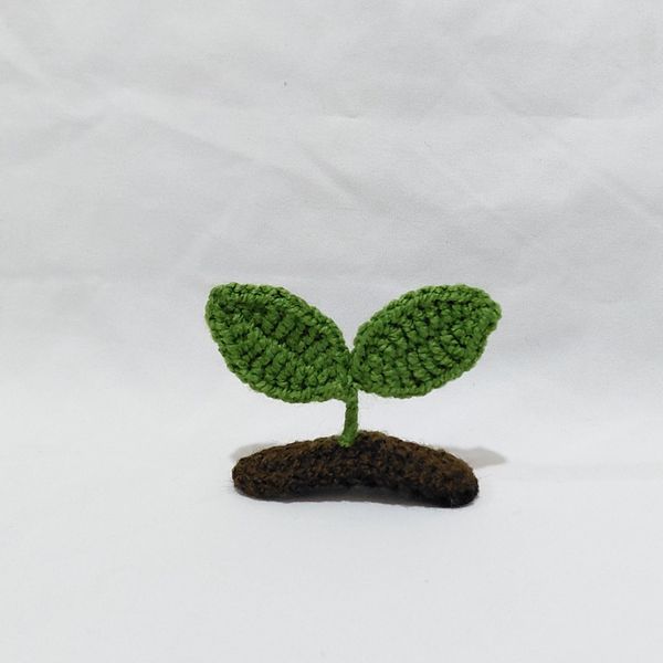 گیره جوانه بافتنی تقتقی 6سانت