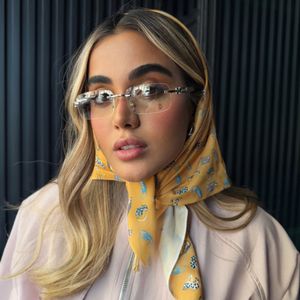 عینک CARTIER کد 310550
