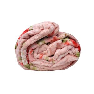 خرید اینترنتی قیمت پتو سفری تکنفره TISA مدل گلناز (6رنگ)